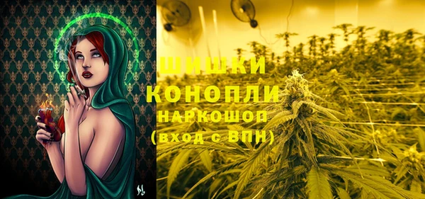 молекула духа Алексин