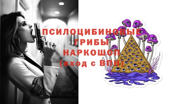 прущие грибы Алексеевка
