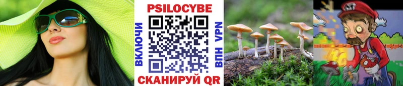 Псилоцибиновые грибы прущие грибы  где можно купить наркотик  Змеиногорск 