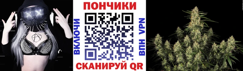 Шишки марихуана марихуана  цена наркотик  Змеиногорск 
